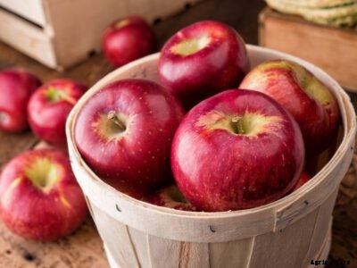 Why Grow Cortland Apples: Cortland Apple Uses And Facts