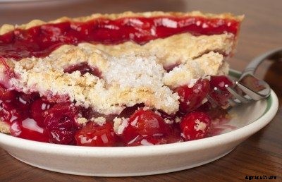 Pie Cherries Vs. Regular Cherries: Best Cherry Varieties For Pie