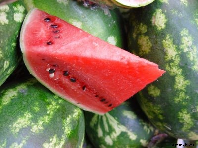 Charleston Gray History: Learn How To Grow Charleston Gray Melons