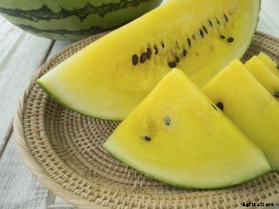 Are Yellow Watermelons Natural: Why Watermelon Is Yellow Inside