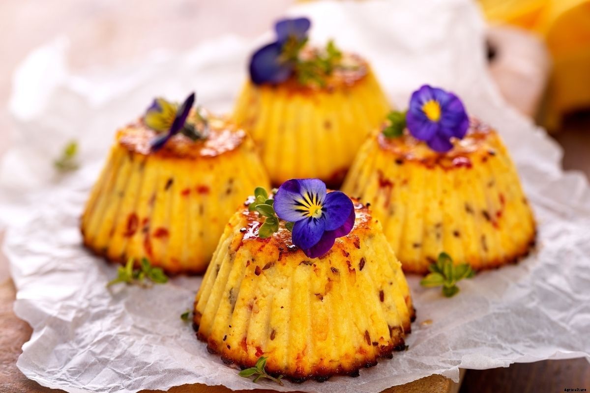 Top 5 Edible Flowers to Grow and Eat