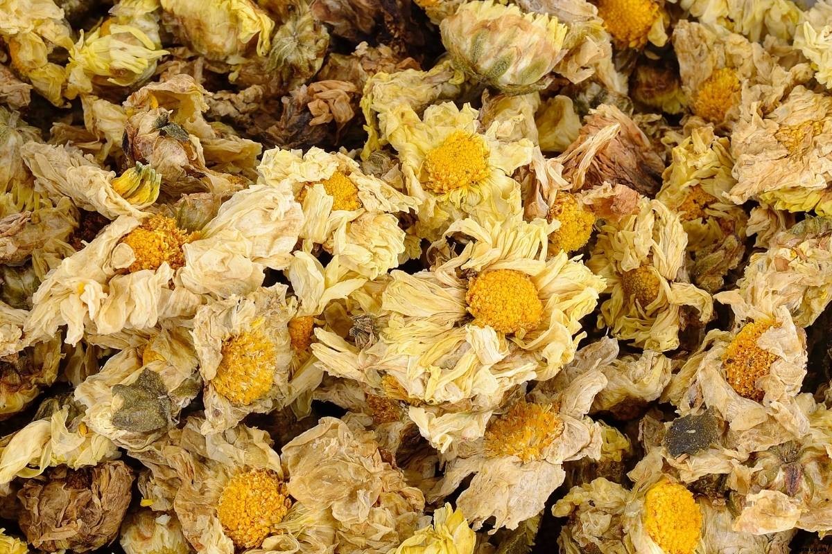 How to Make Homemade Pyrethrum Spray