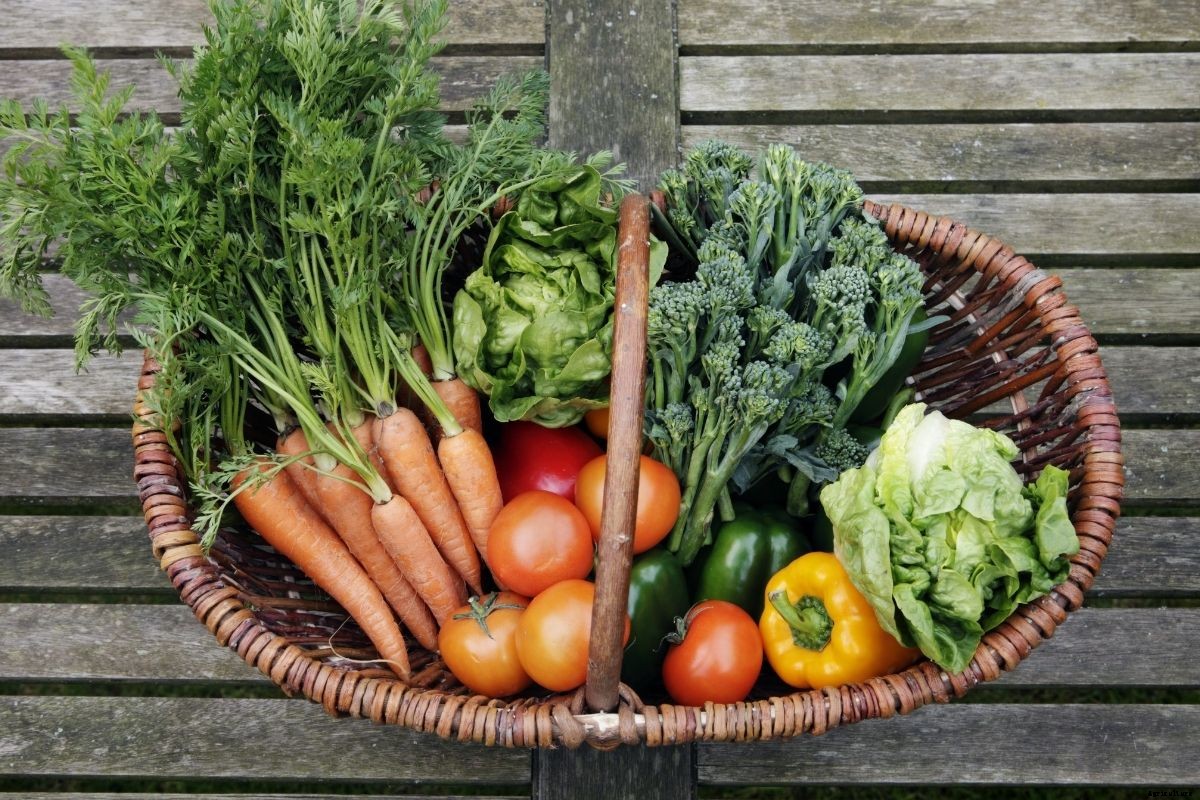 Planning Your Spring and Summer Veggie Patch