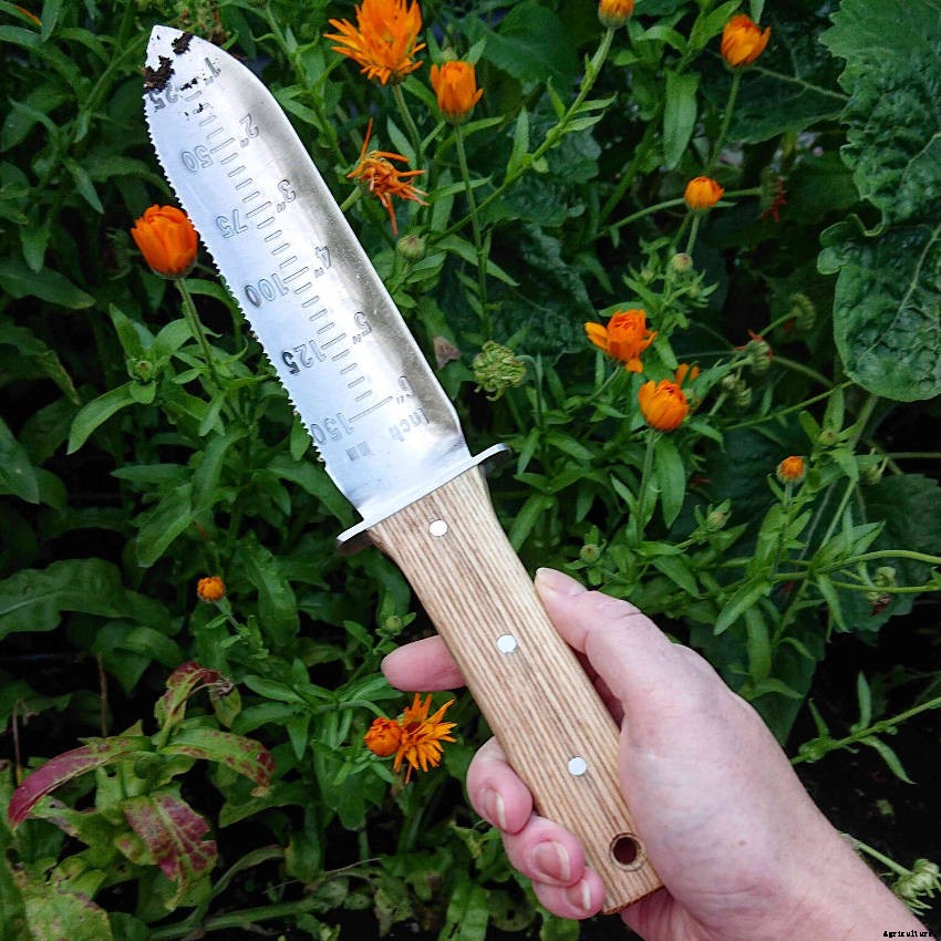 Why a Hori Hori Knife Could Become Your Favourite Hand Tool