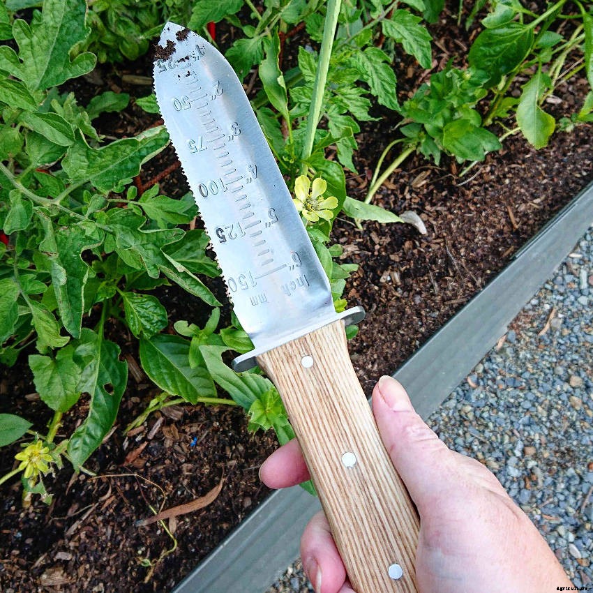 Why a Hori Hori Knife Could Become Your Favourite Hand Tool