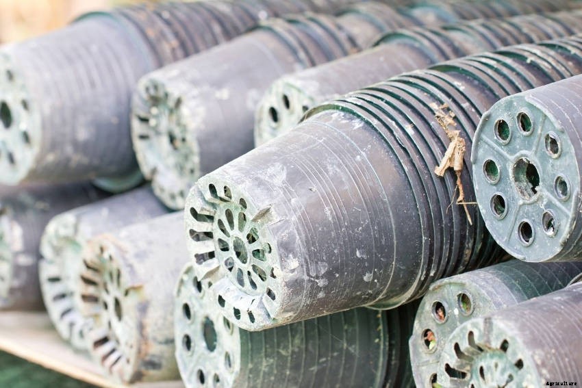 Easy Garden Hygiene: Tips to Reduce Pest and Disease Problems