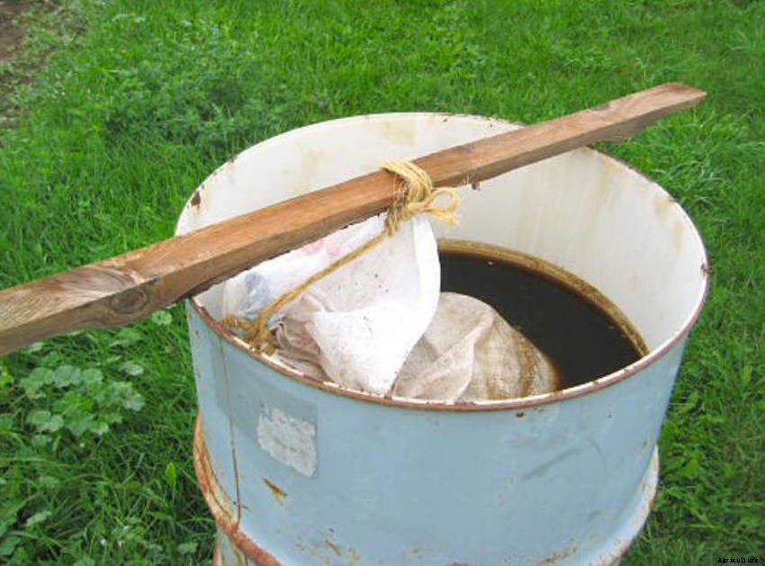 Compost Tea: Thrifty, Easy, and Great for Your Plants