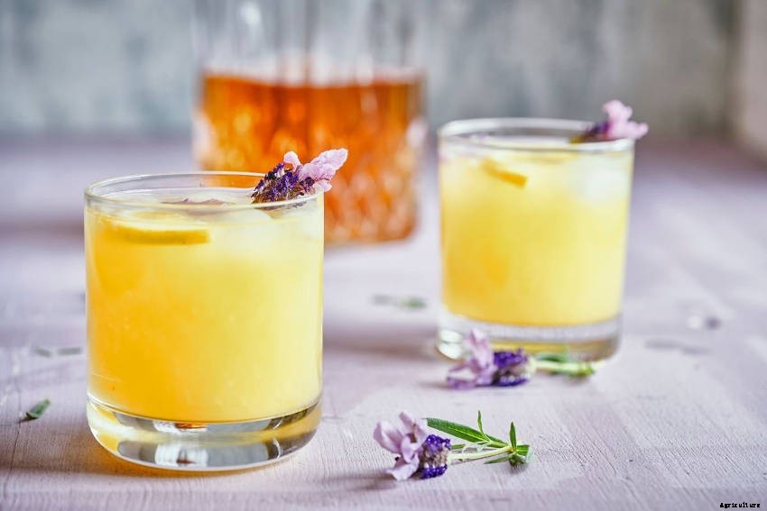 6 Ways to Utilise the Lavender in Your Garden