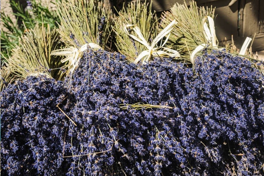 6 Ways to Utilise the Lavender in Your Garden