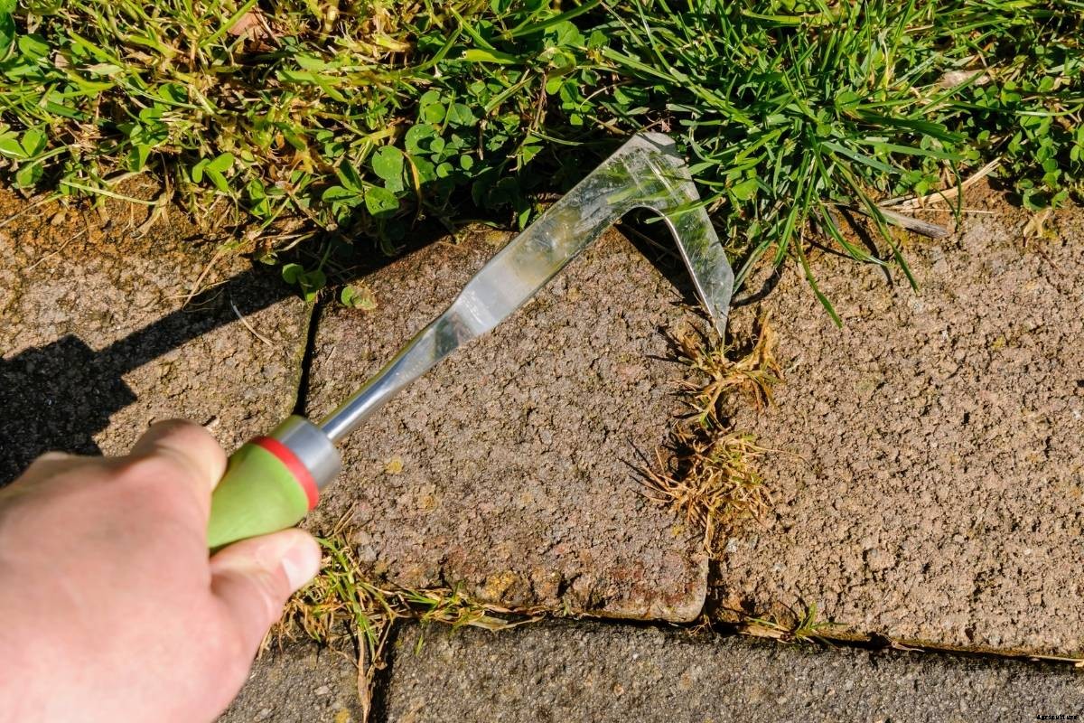 What is a Weeding Knife, and How is It Used?