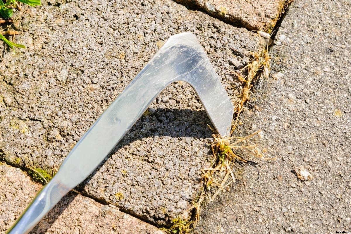 What is a Weeding Knife, and How is It Used?