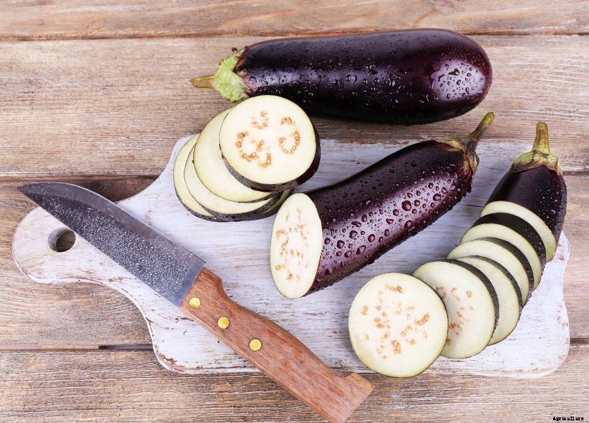 How to Grow Eggplant: From Seed to Harvest
