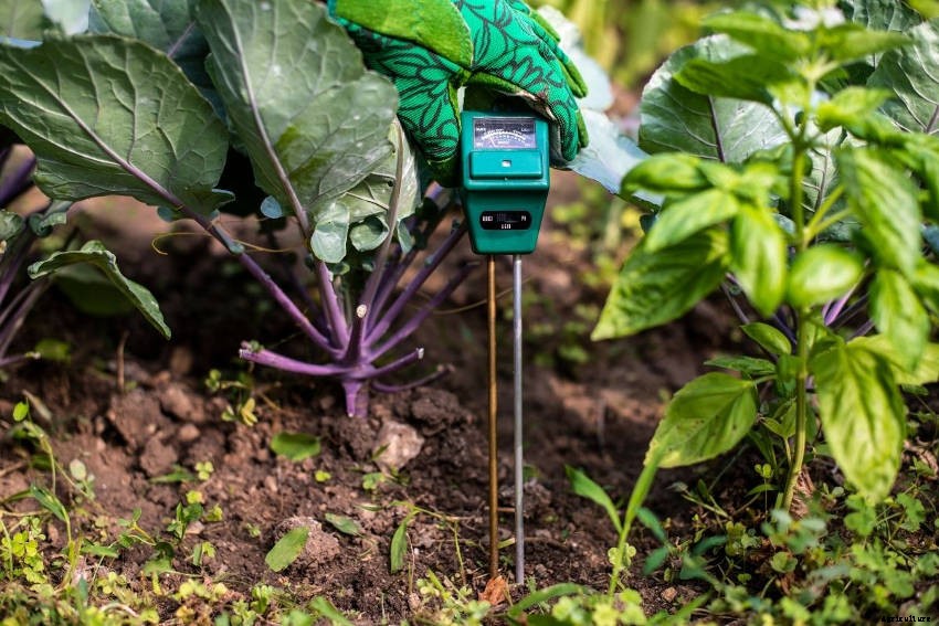 How Soil Moisture Meters Can Help Your Gardening