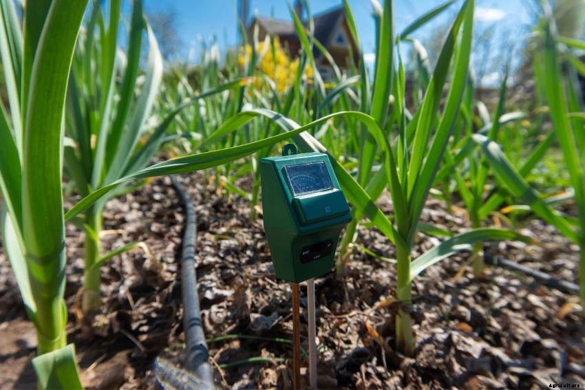 How Soil Moisture Meters Can Help Your Gardening