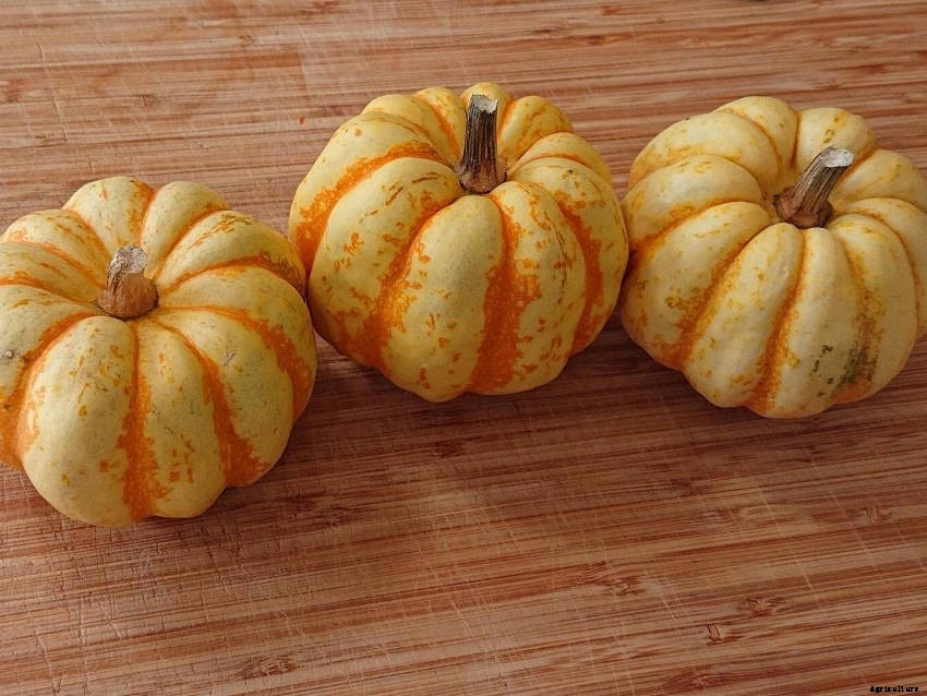 Lets make Stuffed Roasted Sweet Dumpling Squash