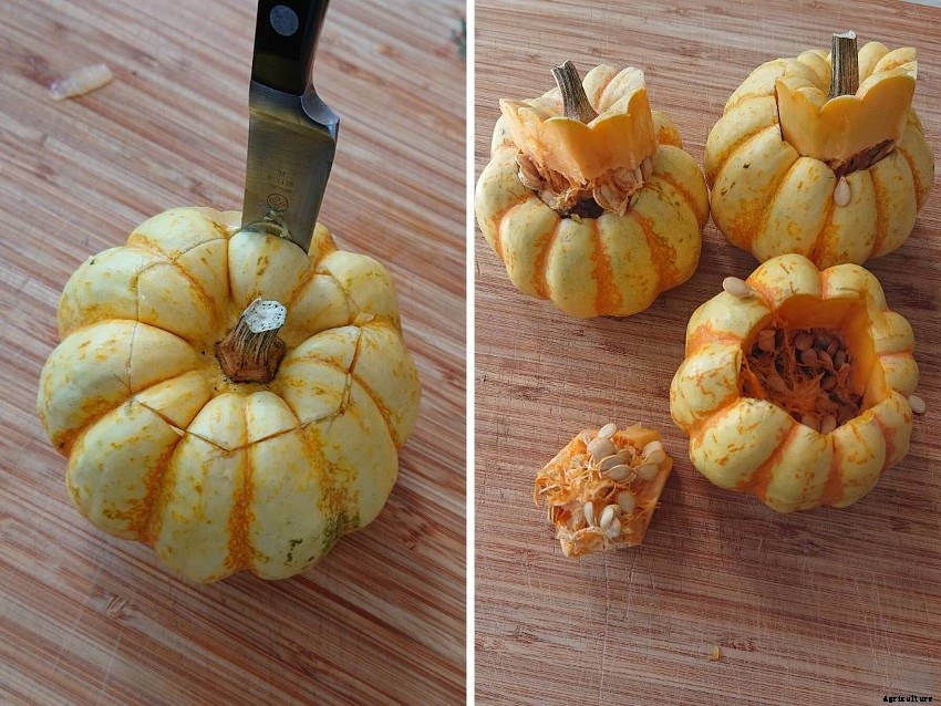 Lets make Stuffed Roasted Sweet Dumpling Squash