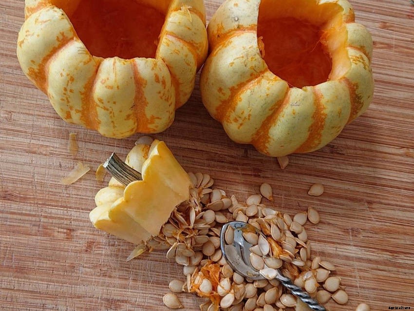 Lets make Stuffed Roasted Sweet Dumpling Squash