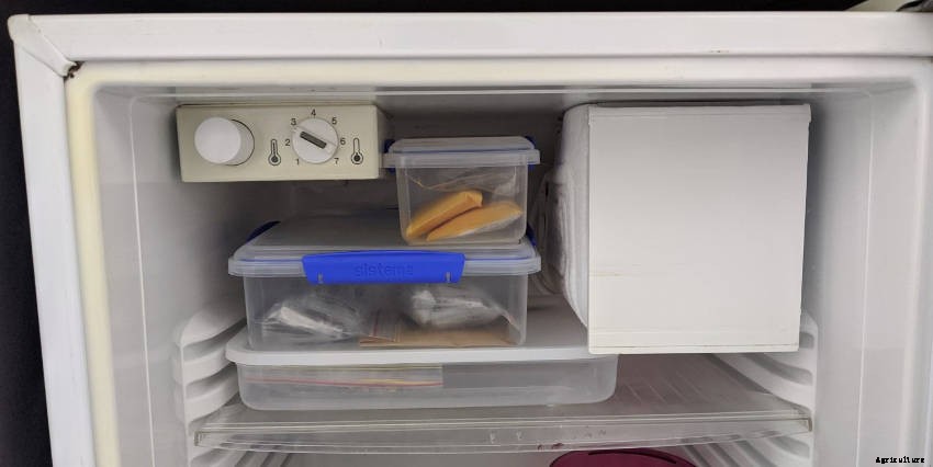 Lets Talk About Seed Lifespan and Storage