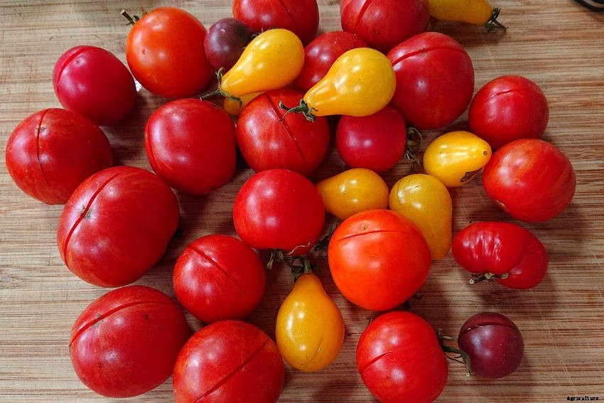 Lets make Passionfruit Tomato Jam!