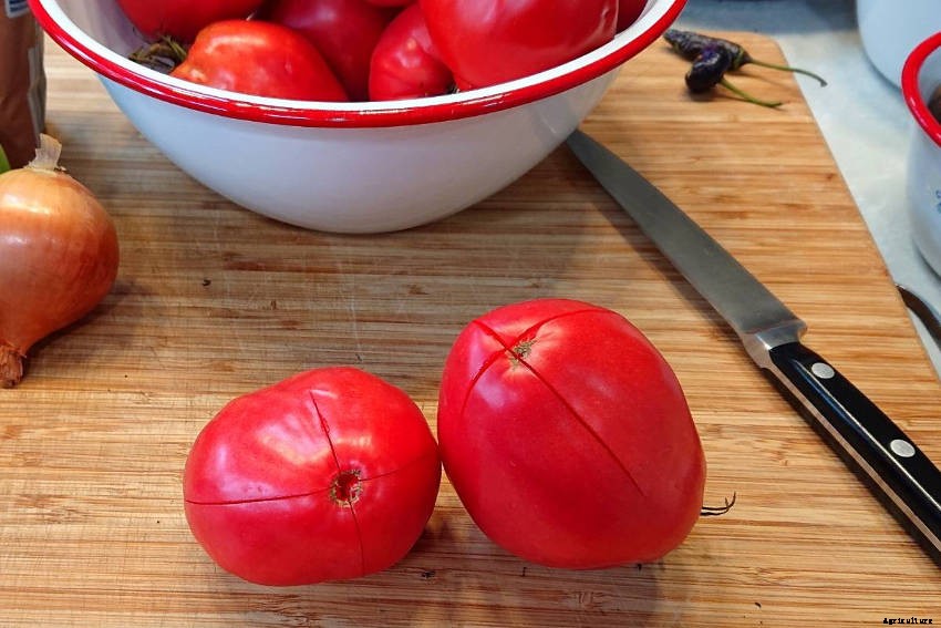 Lets make Tomato & Chilli Relish!