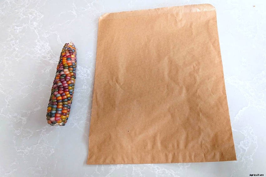 Let’s Make Popcorn!