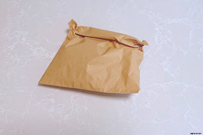 Let’s Make Popcorn!