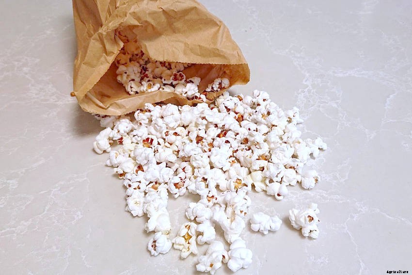 Let’s Make Popcorn!