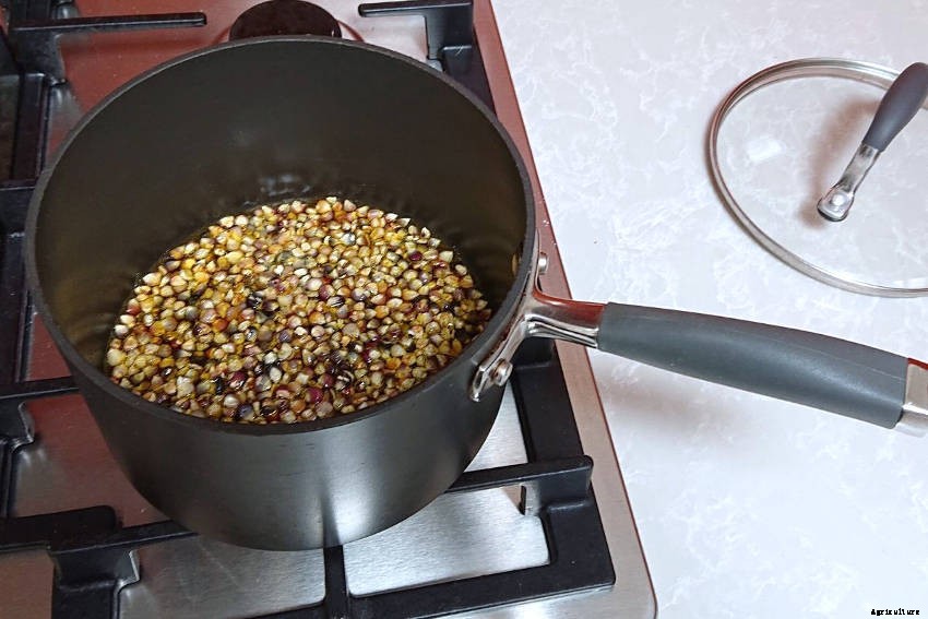 Let’s Make Popcorn!