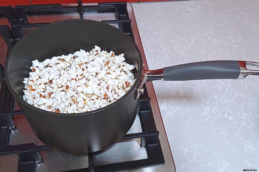 Let’s Make Popcorn!