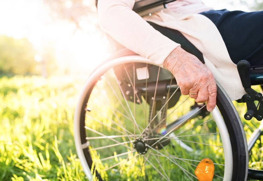 Creating a Sensory Garden for Relaxation or Therapy