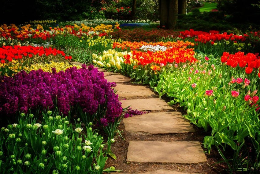 Creating a Sensory Garden for Relaxation or Therapy