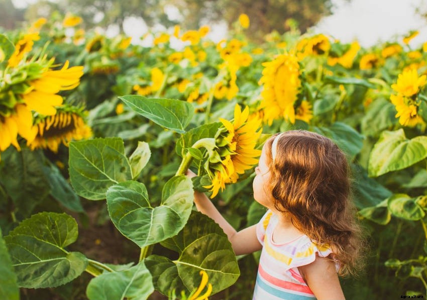 Creating a Sensory Garden for Relaxation or Therapy