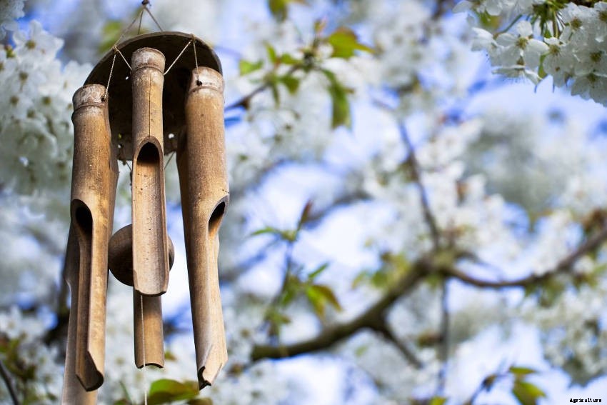 Creating a Sensory Garden for Relaxation or Therapy