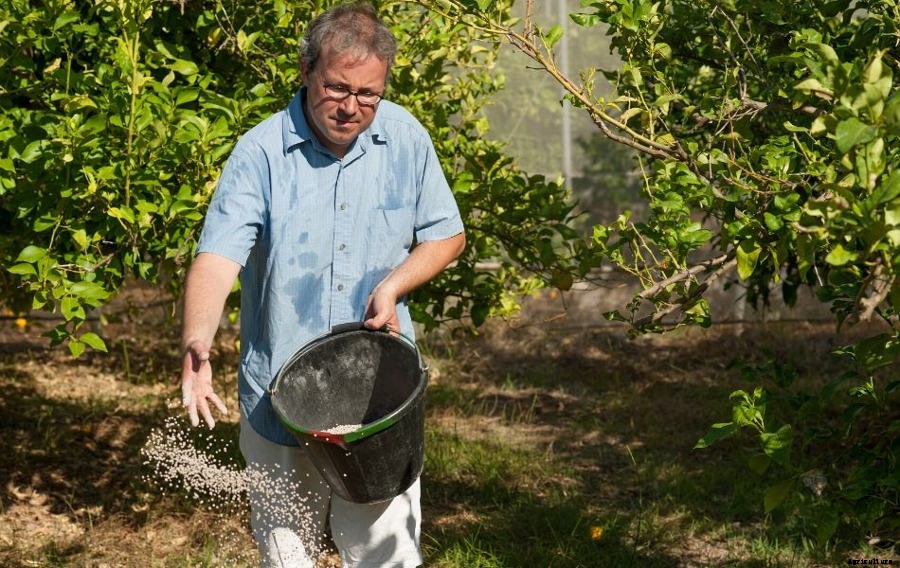 A Complete Guide to Using Fertiliser in the Home Garden