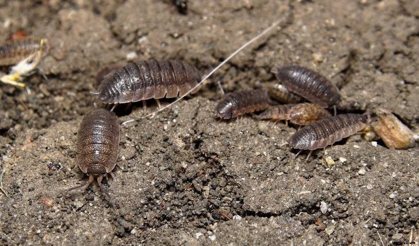 How to Keep Slater Numbers Under Control