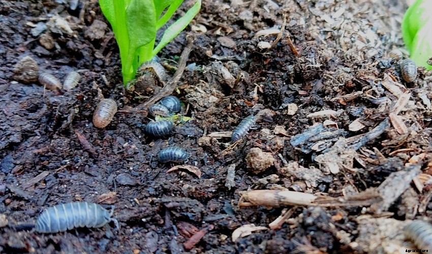 How to Keep Slater Numbers Under Control