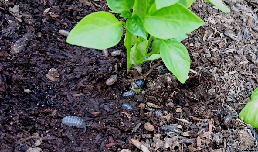 How to Keep Slater Numbers Under Control