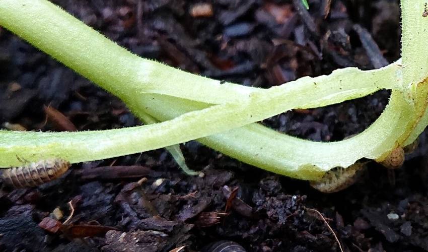 How to Keep Slater Numbers Under Control