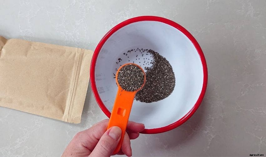How to Make Edible Chia Seed Slime for Kids