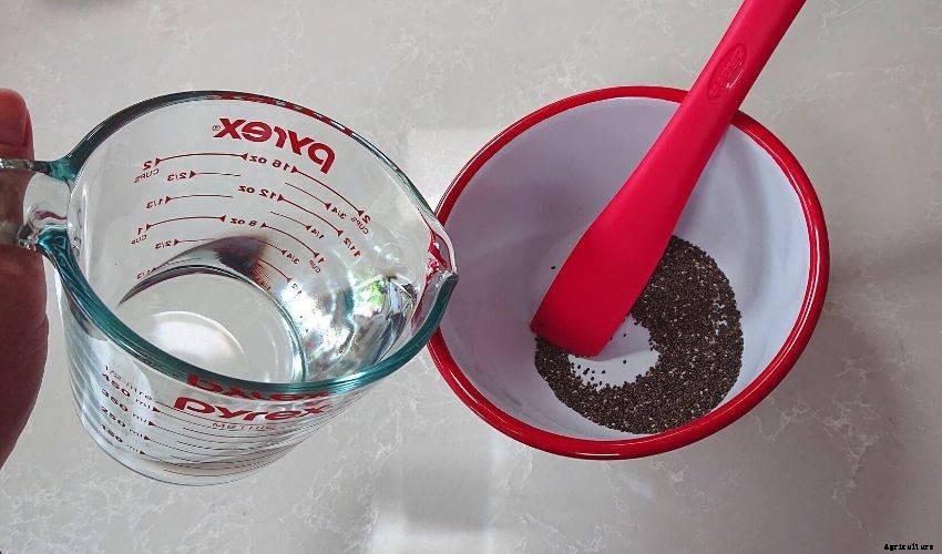 How to Make Edible Chia Seed Slime for Kids