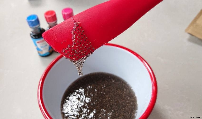 How to Make Edible Chia Seed Slime for Kids