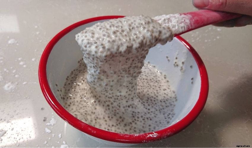 How to Make Edible Chia Seed Slime for Kids