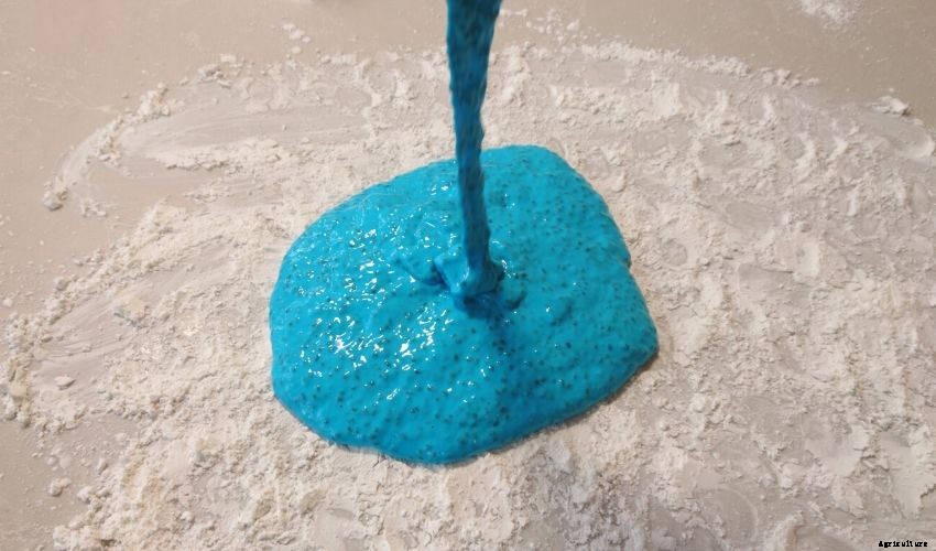 How to Make Edible Chia Seed Slime for Kids