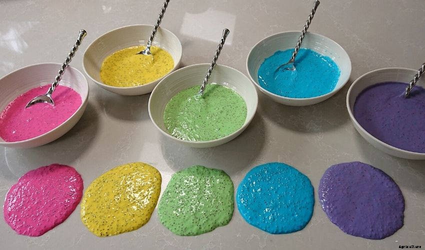 How to Make Edible Chia Seed Slime for Kids