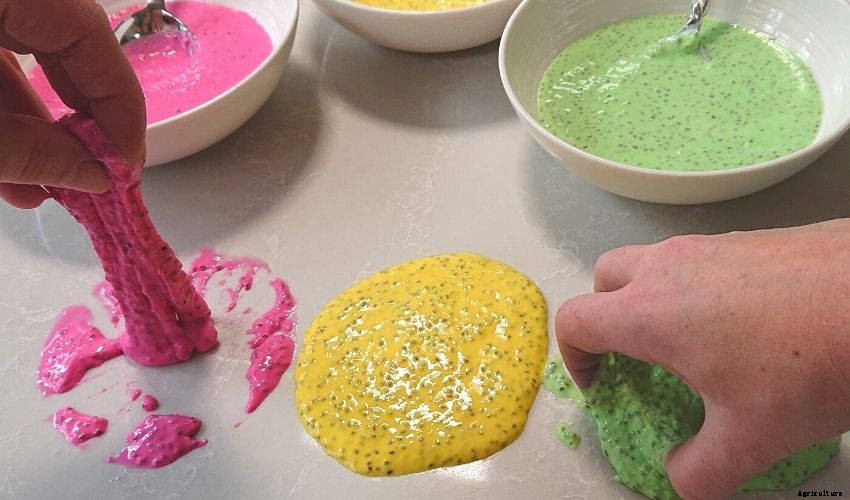 How to Make Edible Chia Seed Slime for Kids
