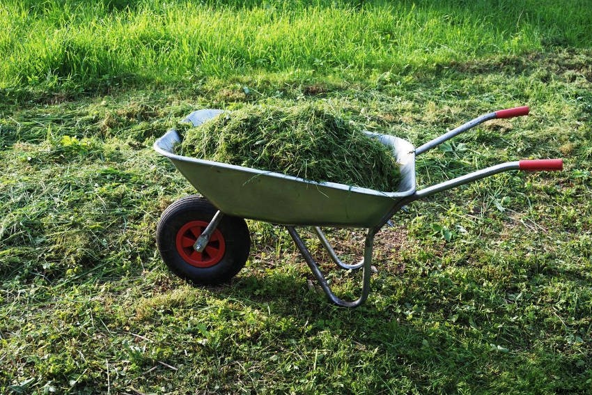 5 Beneficial Ways to Use Grass Clippings after Mowing Your Lawn