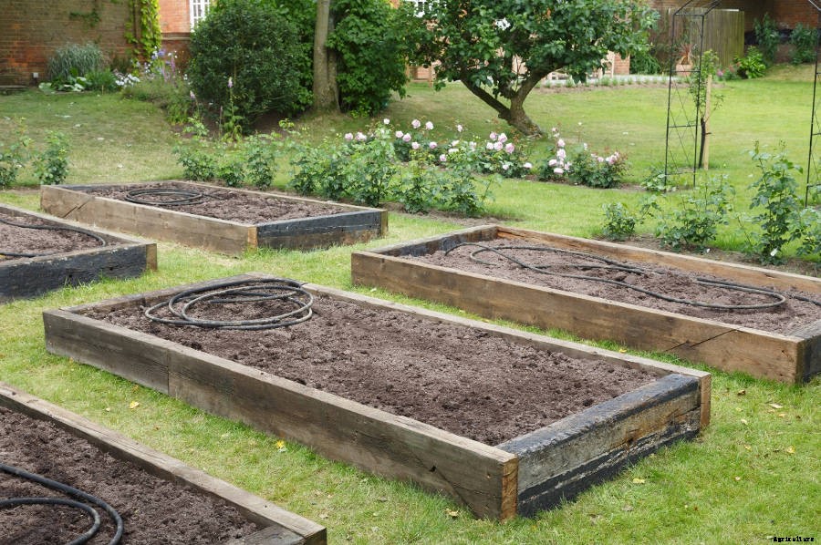 5 Simple Tips for Successful Raised Bed Gardening