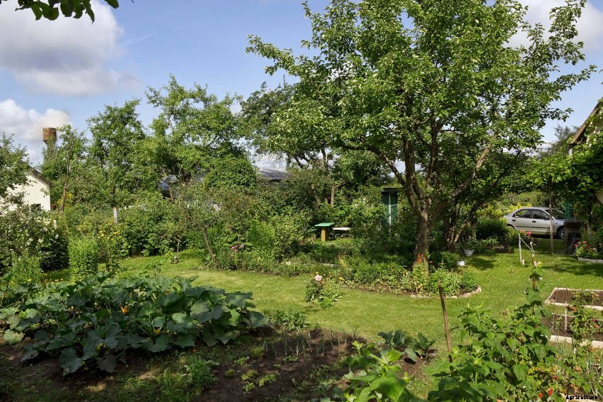 A Beginners Guide to Veggie Growing in a Shady Garden