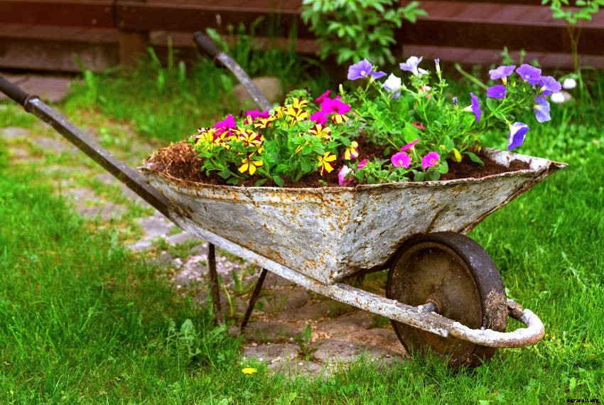 Crafty Containers: Unusual Alternatives to Conventional Pots