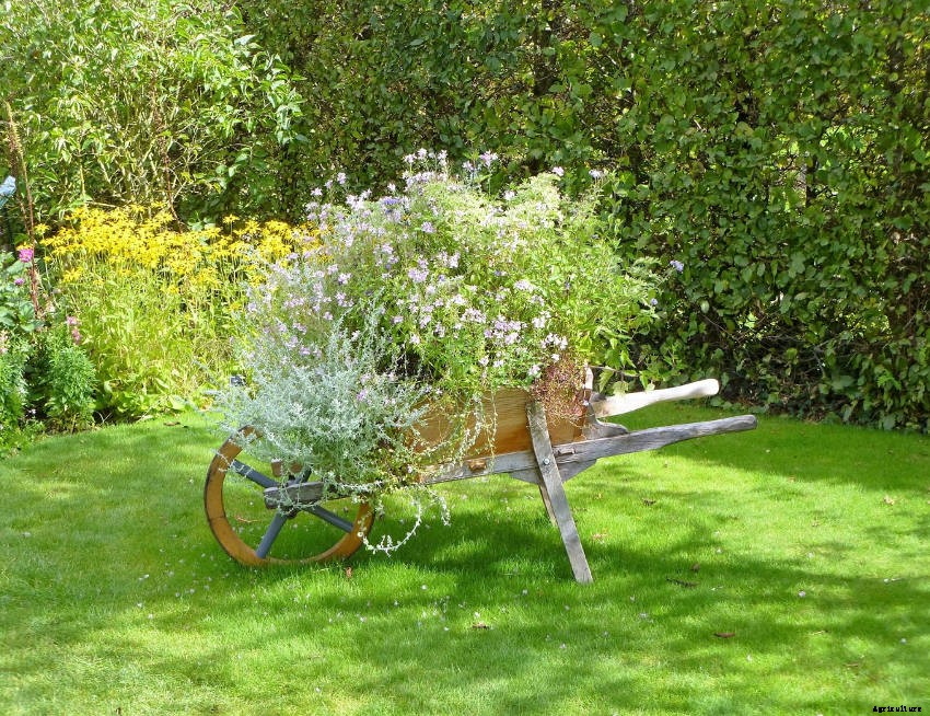 Crafty Containers: Unusual Alternatives to Conventional Pots